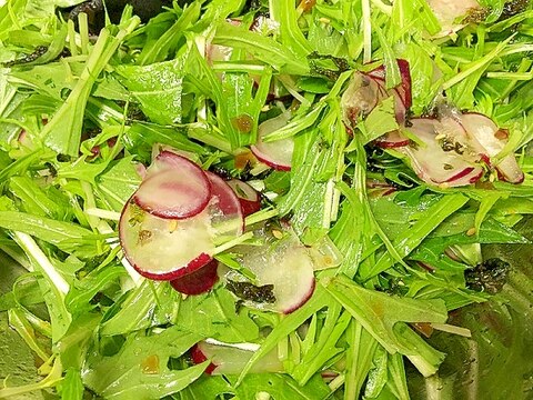 ラディッシュと水菜の海苔サラダ